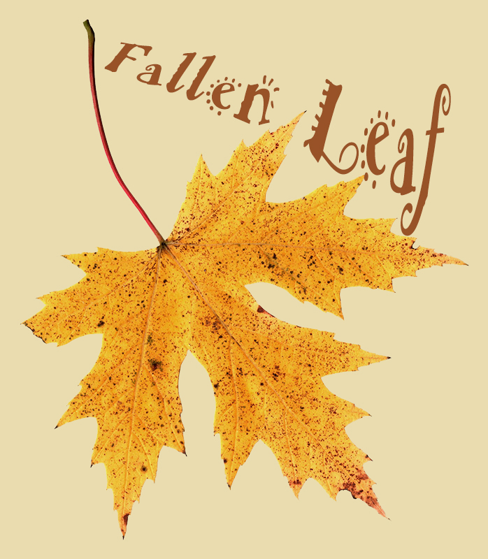 leaf